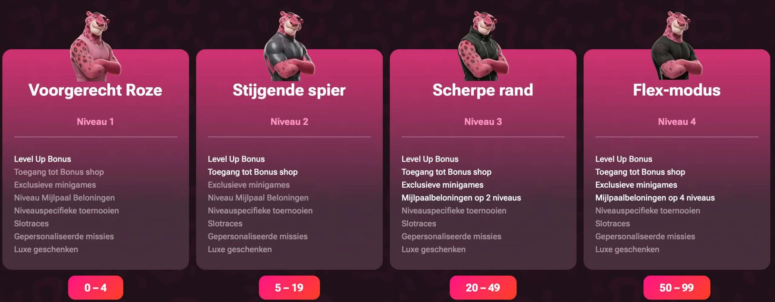 Spinko Loyalty Club